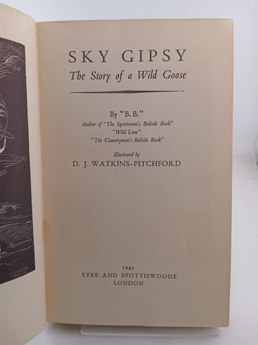 Sky Gipsy: The Story of a Wild Goose by B. B.
