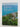 Travels to Paradise: Memoirs of a Swiss Emigrant by Hans Buess