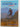 Classic New Zealand Mountain Bike Rides: South Island by The Kennett Brothers