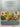 The Complete Book of Herbs; Gardening, Herbal Medicine, Natural Beauty, Around the Home, Craft, Cooking by Various