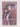 The Edwardians (Virago Modern Classics) by Vita Sackville-West,Juliet Nicolson