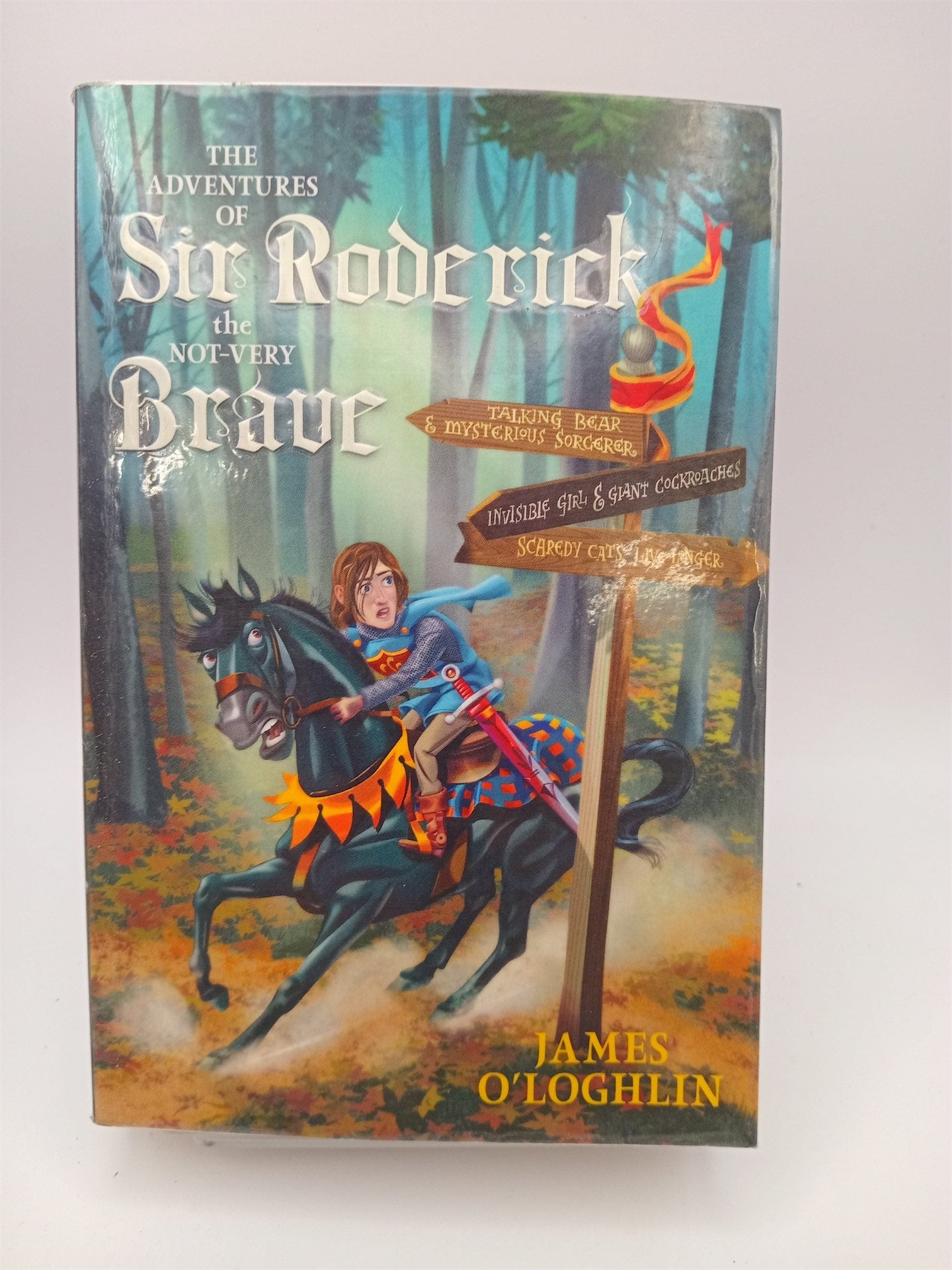 Steam Sir Roderick The Adventures of Sir Roderick the not-very Brave by James O'Loghlin ...
