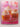 1001 Cupcakes, Cookies & Tempting Treats by Susanna Tee (Editor)