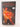 The Intimate Memoir of Dame Jenny Everleigh Vol 1 by Anonymous