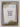 Wellington Regional Native Plant Guide by Greater Wellington