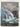 Wild New Zealand (Reader's Digest) by Errol Brathwaite,J. W. Cole