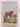 Skewbald: The New Forest Pony by Allan W. Seaby