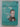 Asa Gray: American Botanist, Friend of Darwin by A. Hunter Dupree
