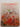 Cooking in Colour by Ted Smart,Gerald Hughes