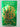 Evergreen by Belva Plain