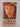 The Storyteller by Harold Robbins
