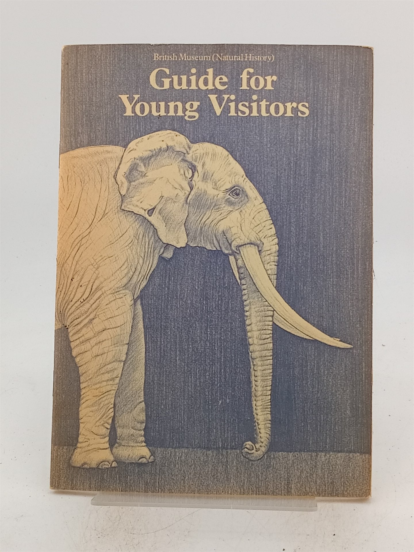 Museum Guide.pdf Natural History Museum Guide for Young Visitors by British Museum ...