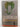 Print Books - Snakehead by Anthony Horowitz - Book Express