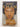 Imran Khan: The Cricketer, the Celebrity, the Politician by Christopher Sandford
