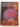 Encyclopedia Of The Animal World Volume 8 by National Library of Australia