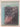 Print Books - New Zealand Native Plant Studies by William C. Davies - Book Express