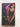 The Mage In Black: Sabina Kane: Book 2 by Jaye Wells