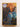 The Virgin's Lover by Philippa Gregory