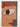Print Books - How to Look at a Painting (The Ginger Series) by Justin Paton - Book Express