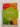 The Vegan Cookbook (Hamlyn Healthy Eating) by Yvonne Bishop-Weston