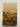 In Borrowed Light by Barbara Keating,Stephanie Keating