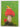 Anne Geddes 1996 Diary: A Collection of Images by Anne Geddes
