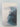 Snow Falling on Cedars by David Guterson