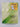 Privacy Program Management: Tools for Managing Privacy Within Your Organization by Russell R. Densmore