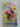 Rachel's Flowers (The People's Friend Pocket Novel No. 793) by Christina Green