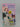 A Chance for Love (The People's Friend Pocket Novel No. 802) by Rivernee Locke