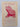 Tuatara (Volume 18 Part 2 - July 1970) by G. W. Gibbs,J. W. Dawson