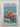 The Professional's Book of Conures by John Coborn