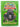 All About Gorillas (My Animal Kingdom 21) by Unknown