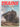 Trains: an illustrated history of locomotive development by S. P. Gordon