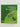 The Visitor's Guide to Mammals, Birds and Insects by Kinabalu National Park