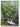 Tropical Rain Forest in South-East Asia: A pictorial journey by Ken Rubeli