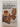 A Field Guide to the Mammals of Borneo by Junaidi Payne,Charles M. Francis,Karen Phillipps