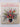 The Art of Flower Arranging by Jan Hall