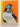 Skomer Island: West Wales Naturalist's Trust by Skomer Island: West Wales Naturalist's Trust