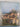The Most Beautiful Villages of Provence by Michael Jacobs,Hugh Palmer