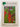 The City Beautiful: Journal of the Canterbury Horticultural Society by Unknown