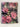 Palmers manual of trees, shrubs and climbers by Stanley J. Palmer