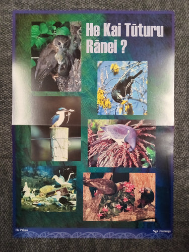 NZ Wildlife Posters (set of 8) by Totika Publishing