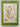 Field Guide to the New Zealand Orchids by Ian St.George,Bruce Irwin,Dan Hatch
