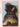 Wild December by Edna O'Brien