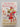 Mini Shopaholic by Sophie Kinsella