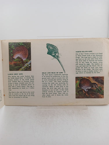 Land Birds of New Zealand (Gregg Picture Card Collection) by W. Gregg
