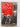 Tony Benn: Conflicts of Interest - Diaries 1977-80 by Tony Benn,Ruth Winstone (Editor)