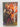 The Fallen Kingdom (Falconer Trilogy 3) by Elizabeth May