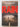 The Rain by Virginia Bergin